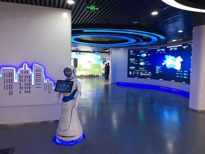 愛麗絲智能機器人 引領(lǐng)銷售新紀元